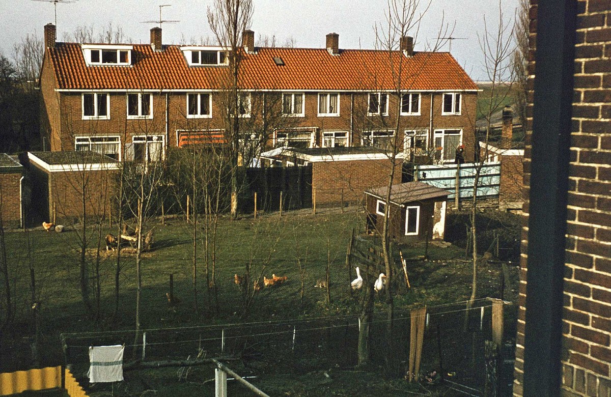 Achterzijde Teding van Berkhoutweg 1974 -- foto Ben Griep