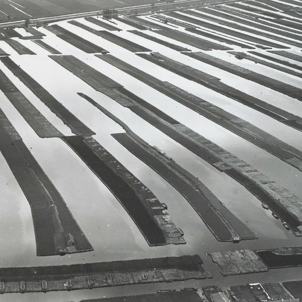 Opening van de IJsbaan, Krantenverslagen 1933